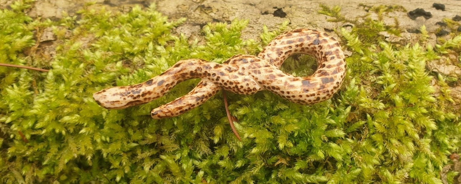 Schmuck, Holzschmuck, Holzbildhauer, Holzkunst, Schlange, Accessoire