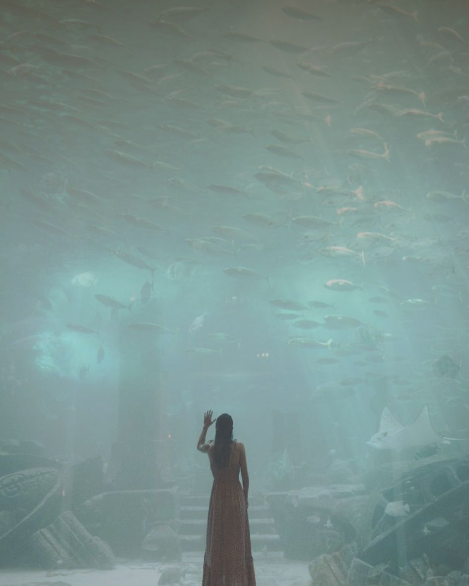 Heal the women Heal the women group experience