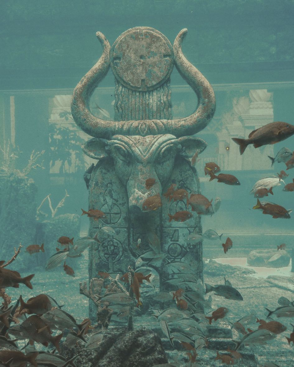 Heal the women Heal the women group experience