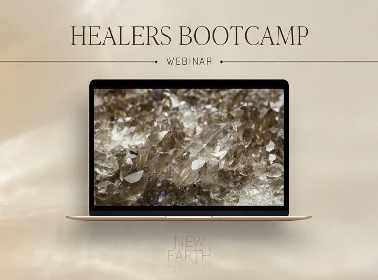 More Info to the Healers Bootcamp Webinar Healers Bootcamp - Cover Photo
