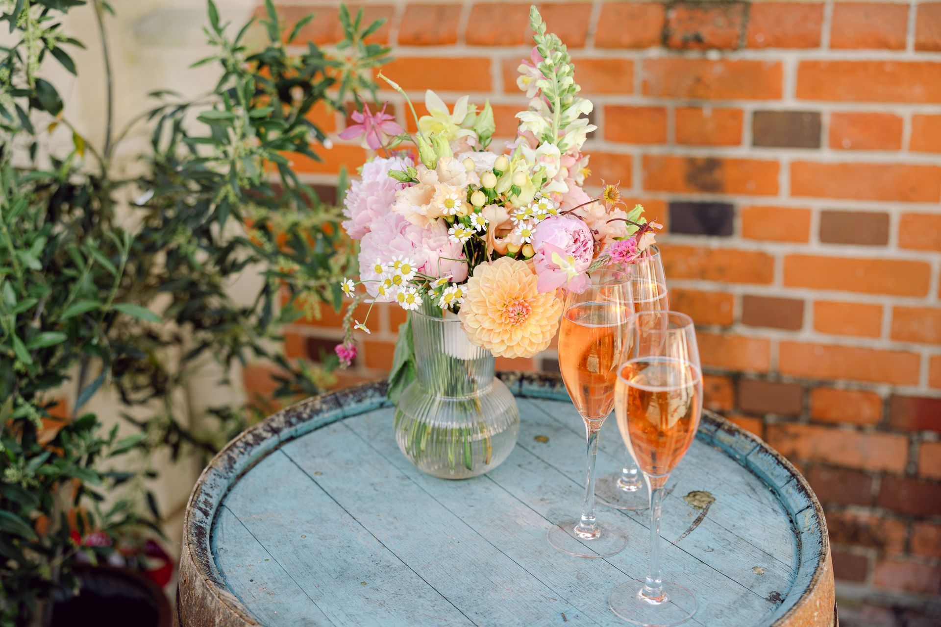 Aperol Spritz wedding reception drinks at Kingsettle Stud co-ordinated by Tasha Mae Wedding Co-ordinator.