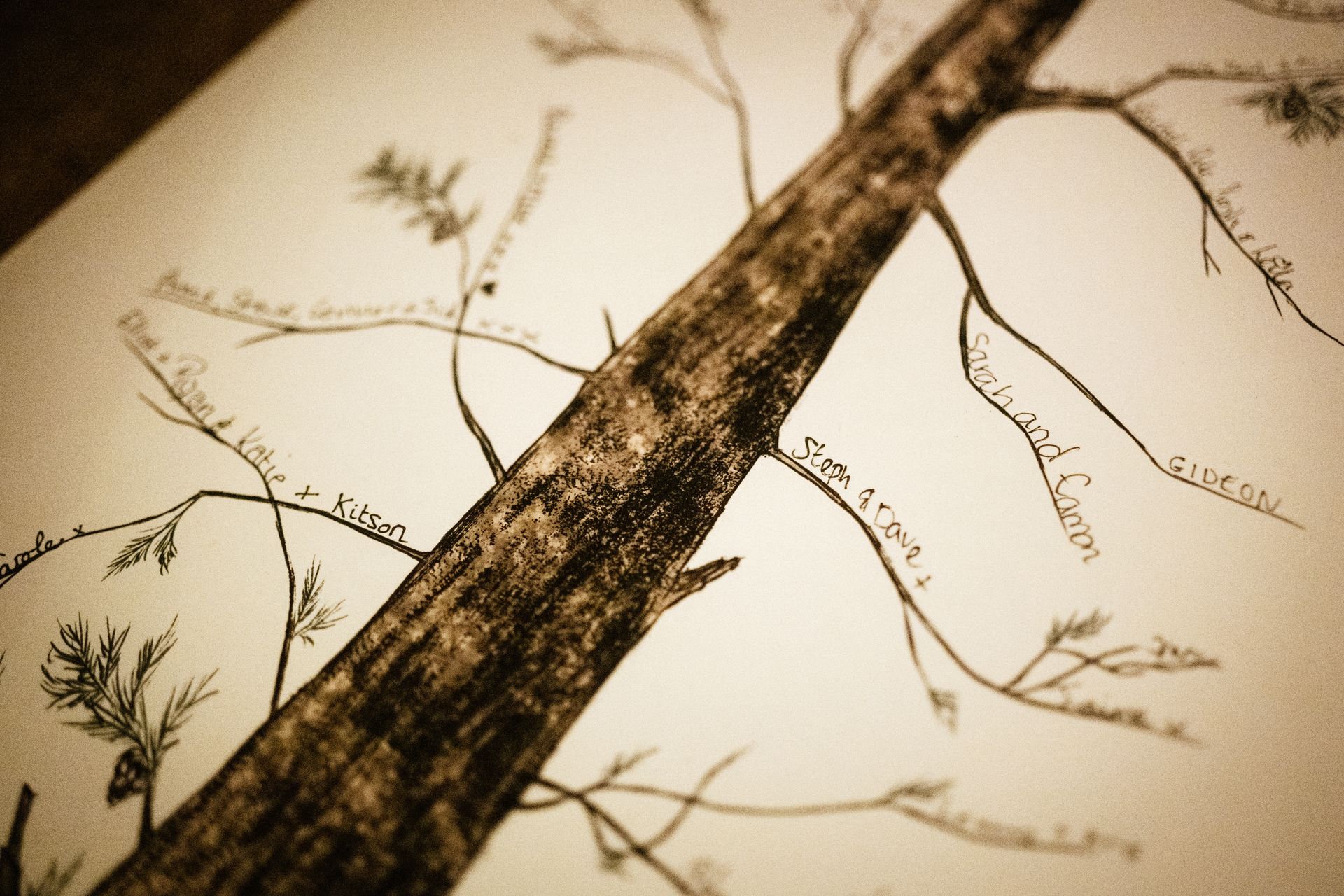 A signing tree as an alternative to a guest book at a wedding at Sopley Mill with Tasha Mae Wedding Co-ordinator.