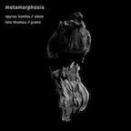 Metamorphosis