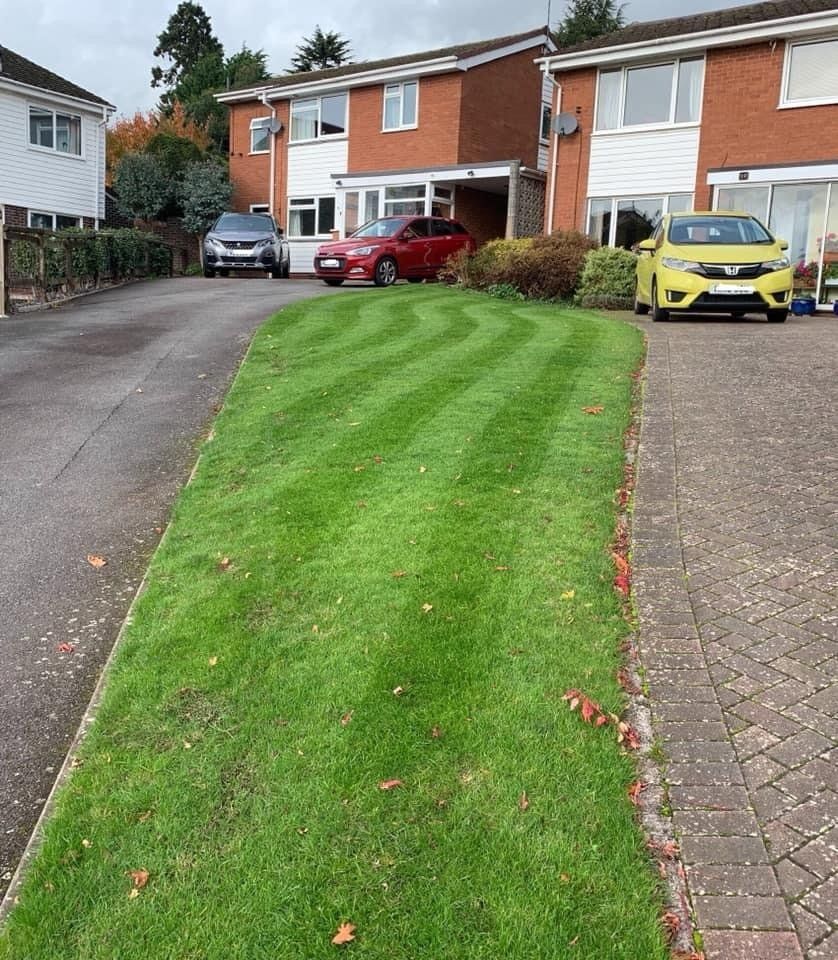 lawn-scarification-birmingham-after
