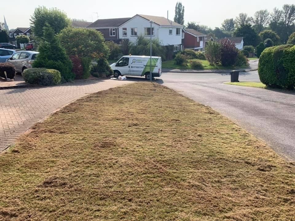 lawn-scarification-birmingham-before