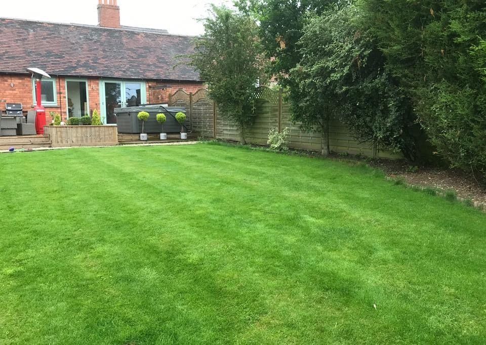 lawn-scarification-birmingham-after