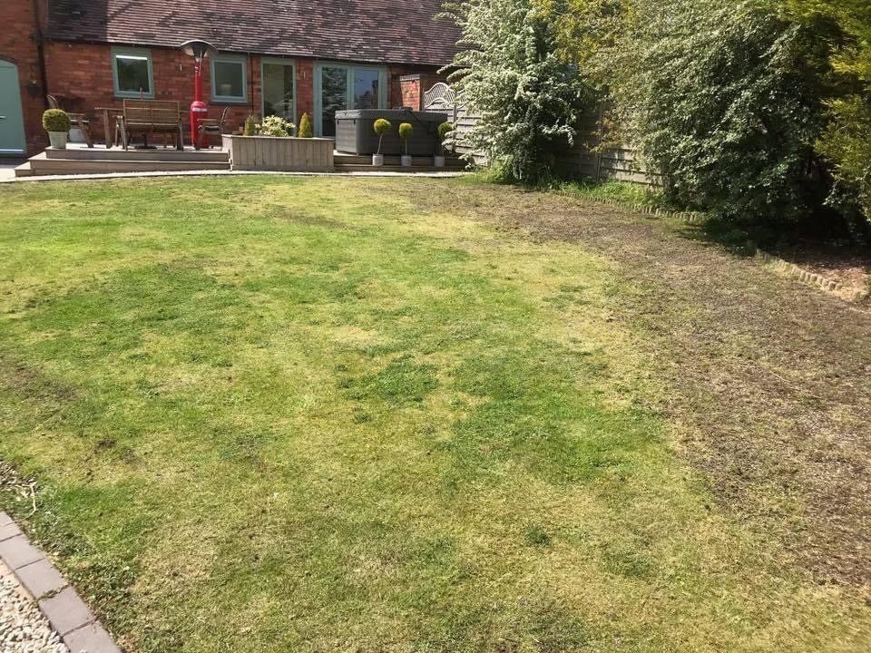lawn-scarification-birmingham-before
