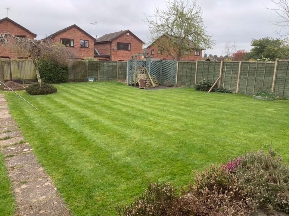 lawn-scarification-birmingham-after