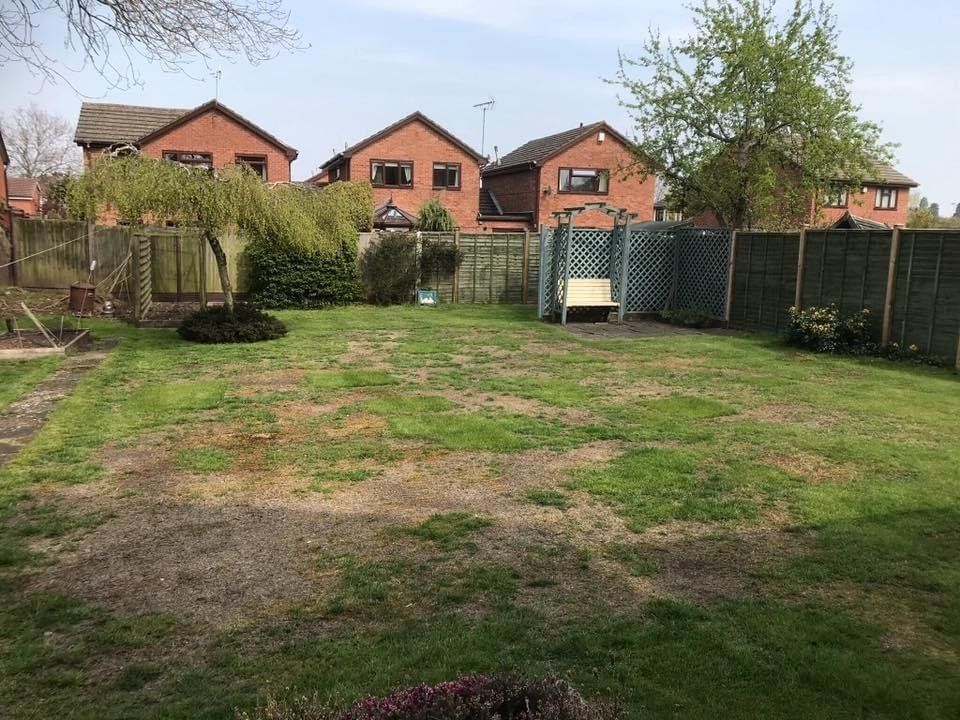 lawn-scarification-birmingham-before