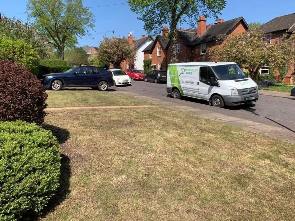 lawn-scarification-birmingham-before