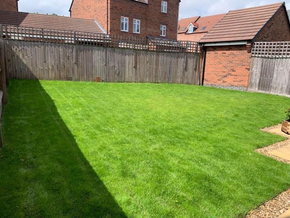 lawn-scarification-birmingham-after