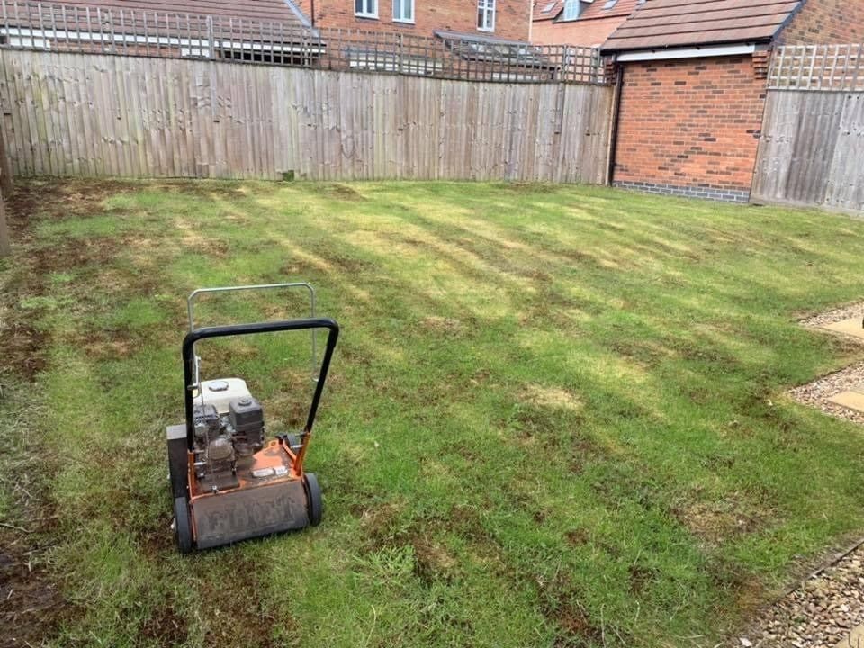 lawn-scarification-birmingham-before
