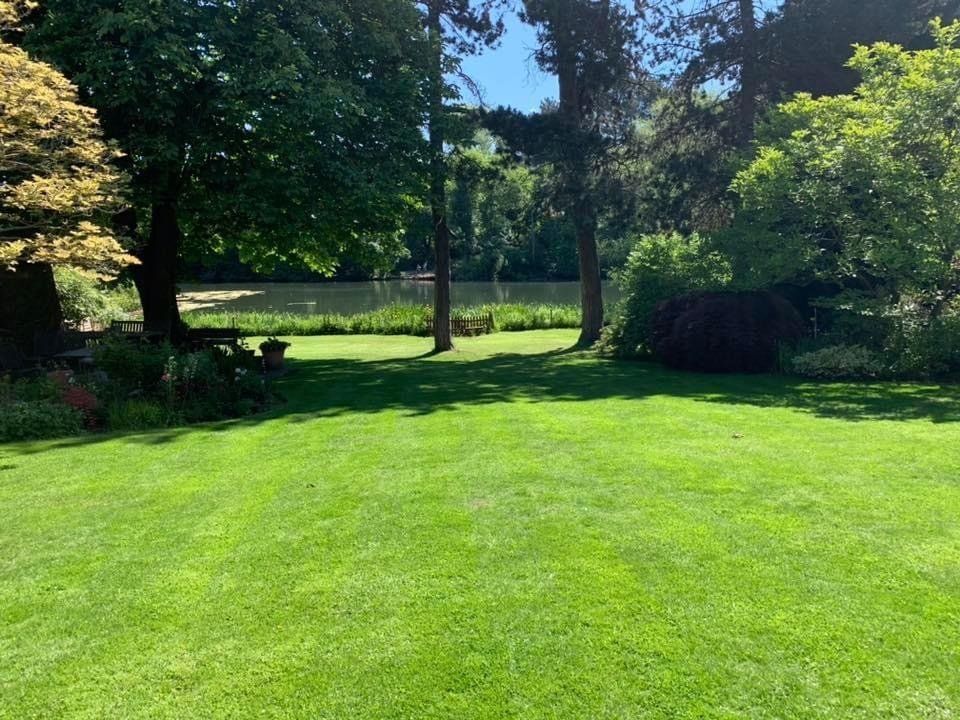 lawn-scarification-birmingham-after