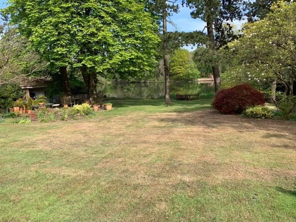 lawn-scarification-birmingham-before