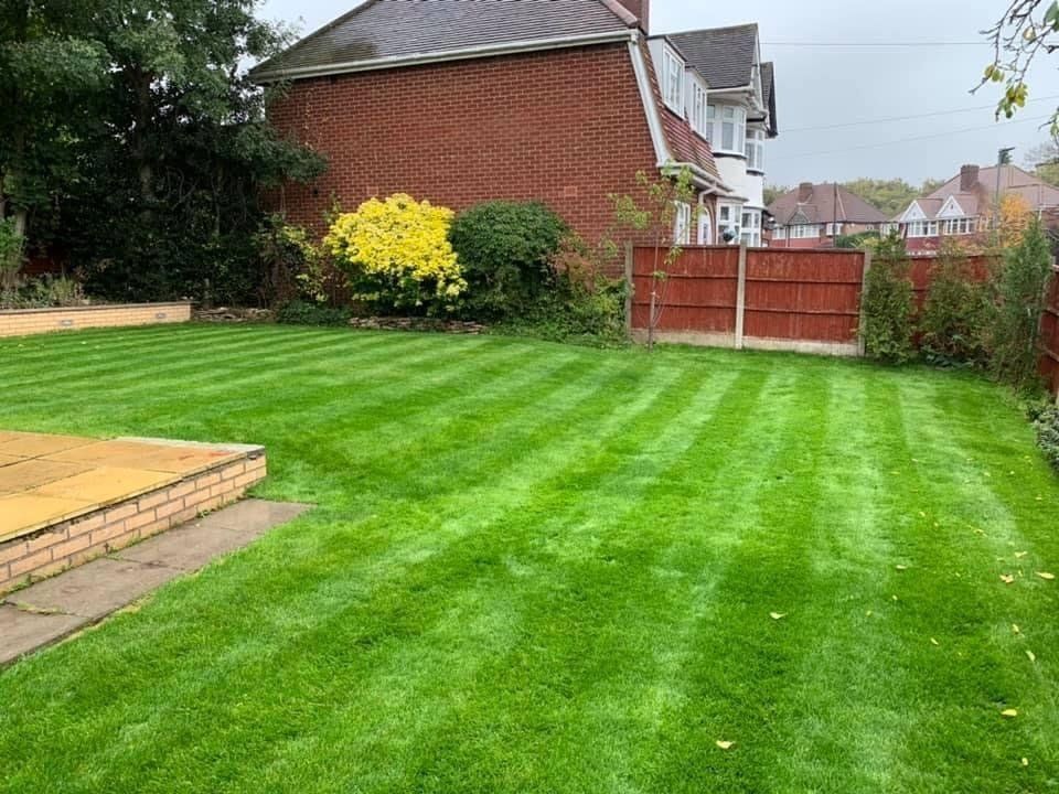lawn-scarification-birmingham-after