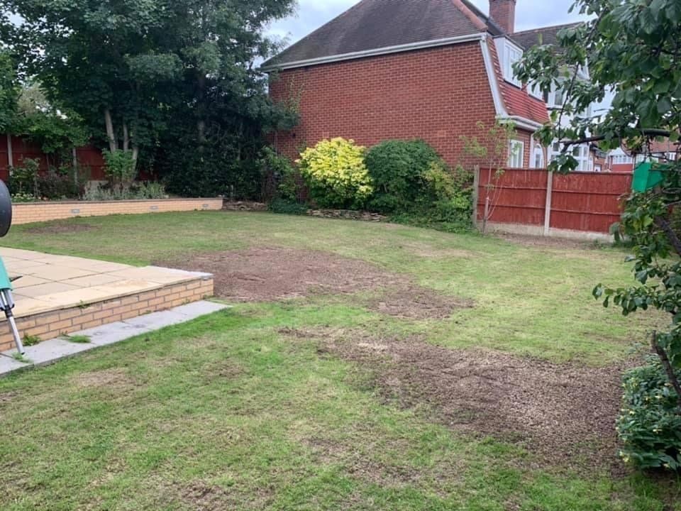 lawn-scarification-birmingham-before