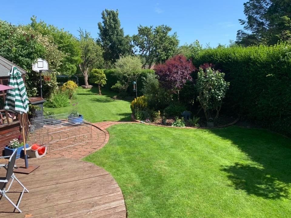 lawn-scarification-birmingham-after