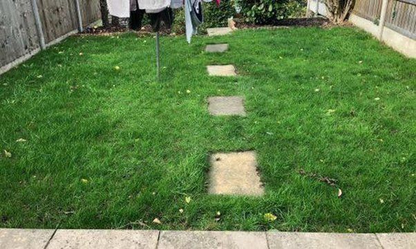 lawn-renovation-birmingham-after