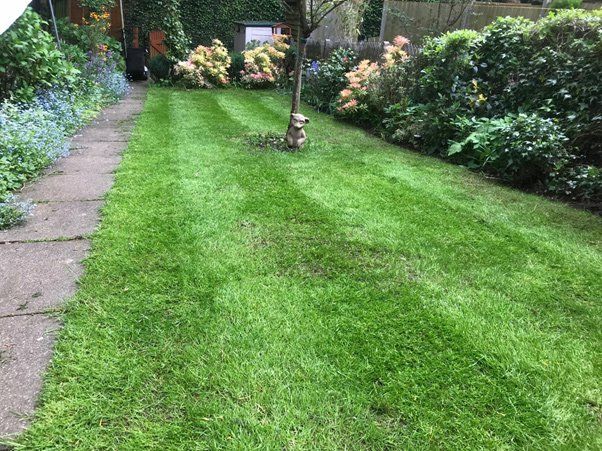 full-lawn-renovation-birmingham-after
