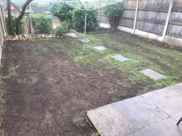 lawn-renovation-birmingham-before