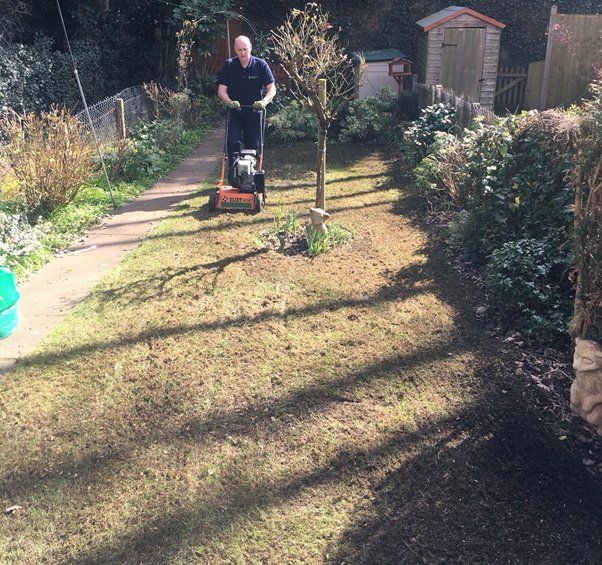 full-lawn-renovation-birmingham-before
