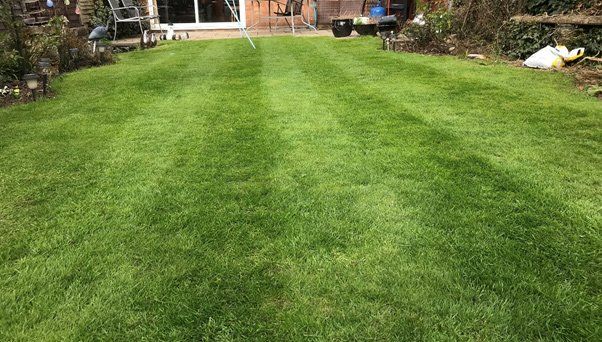 lawn-scarification-birmingham-after