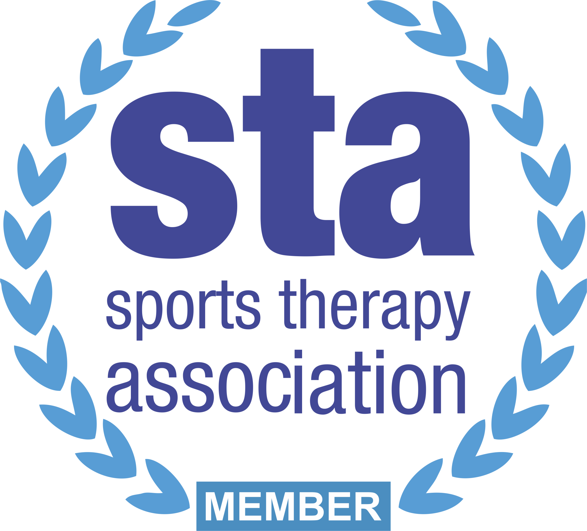 Sports Therapy Association, logo
STA Sport therapy association written inside a crest