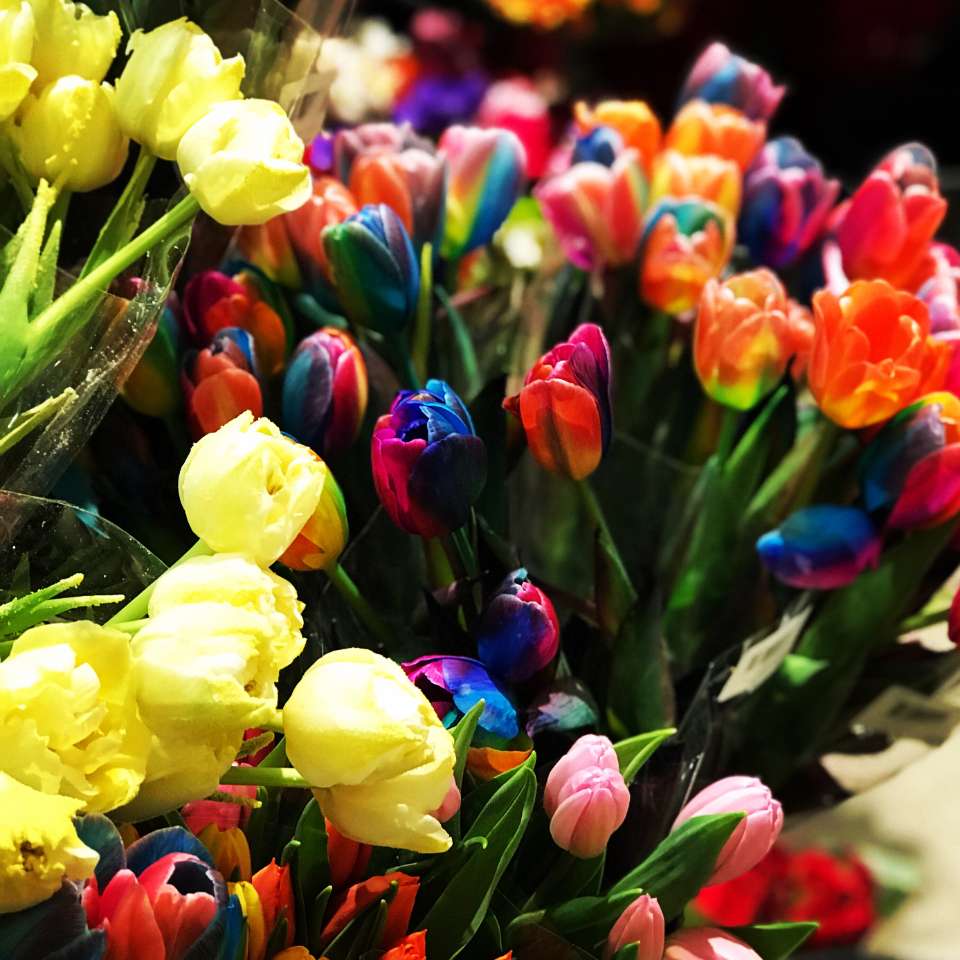 Blumen 2