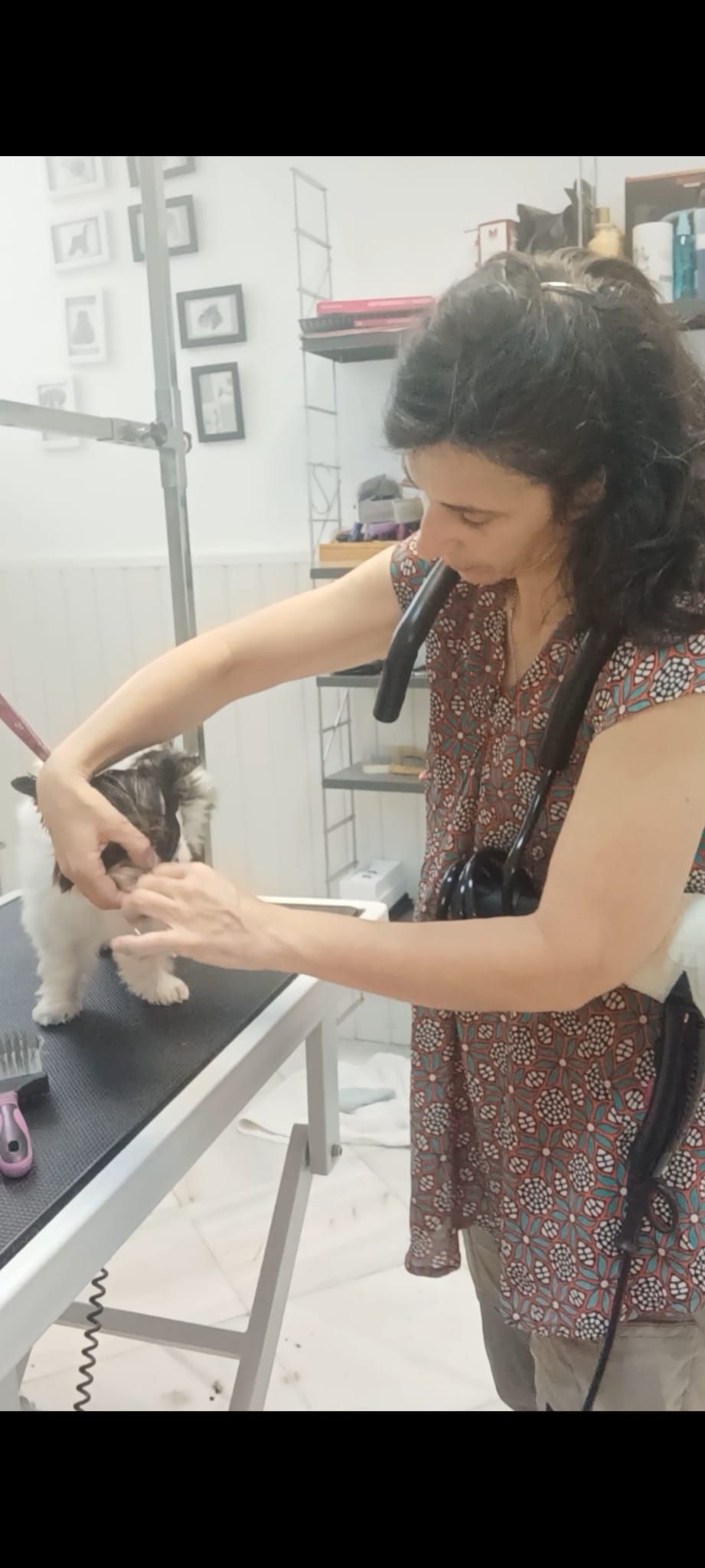 mindfulness en la peluqueía canina