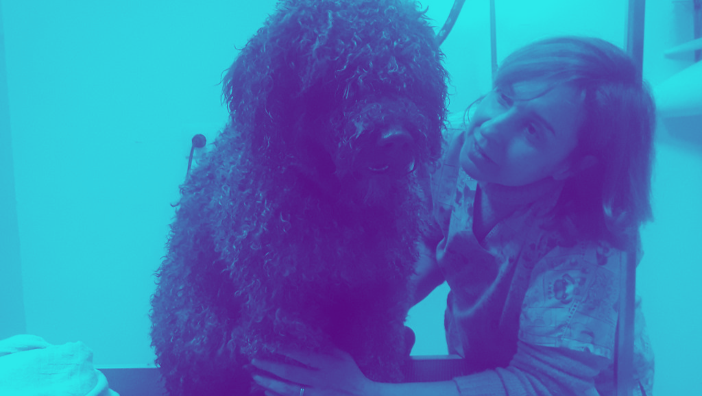 Durante una sesión de trabajo, la paciencia le ayudará a lidiar con perros que intenten constante