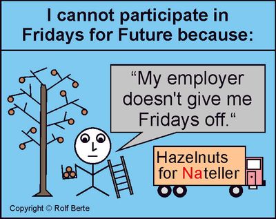 Nicht alle können bei fridays-for-future mitmachen fridays-for-future