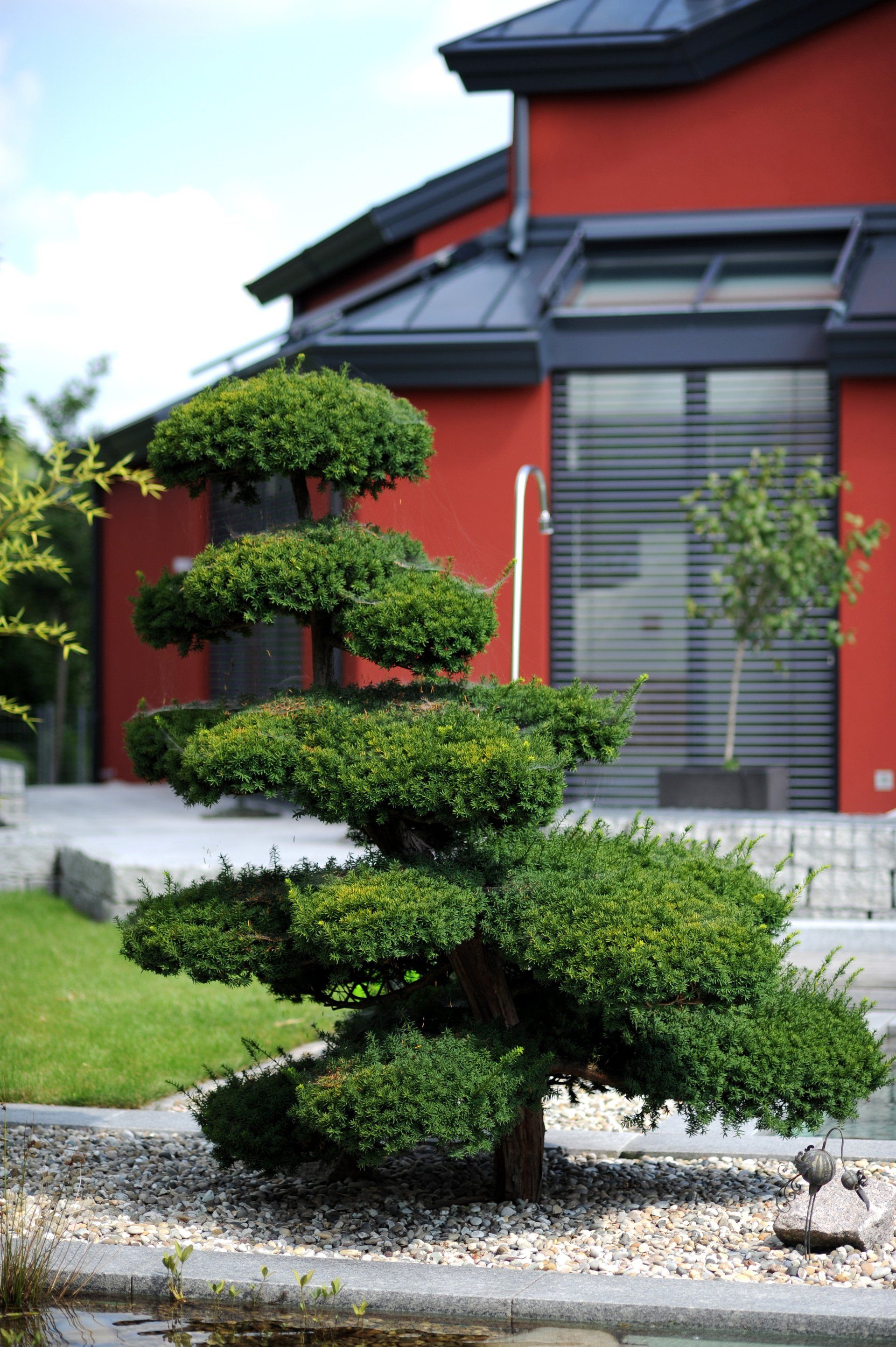 Kunstvoller Baumschnitt Garten Offenburg