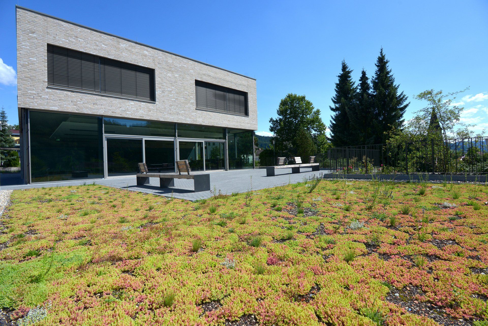 Bepflanzte Dachterrasse