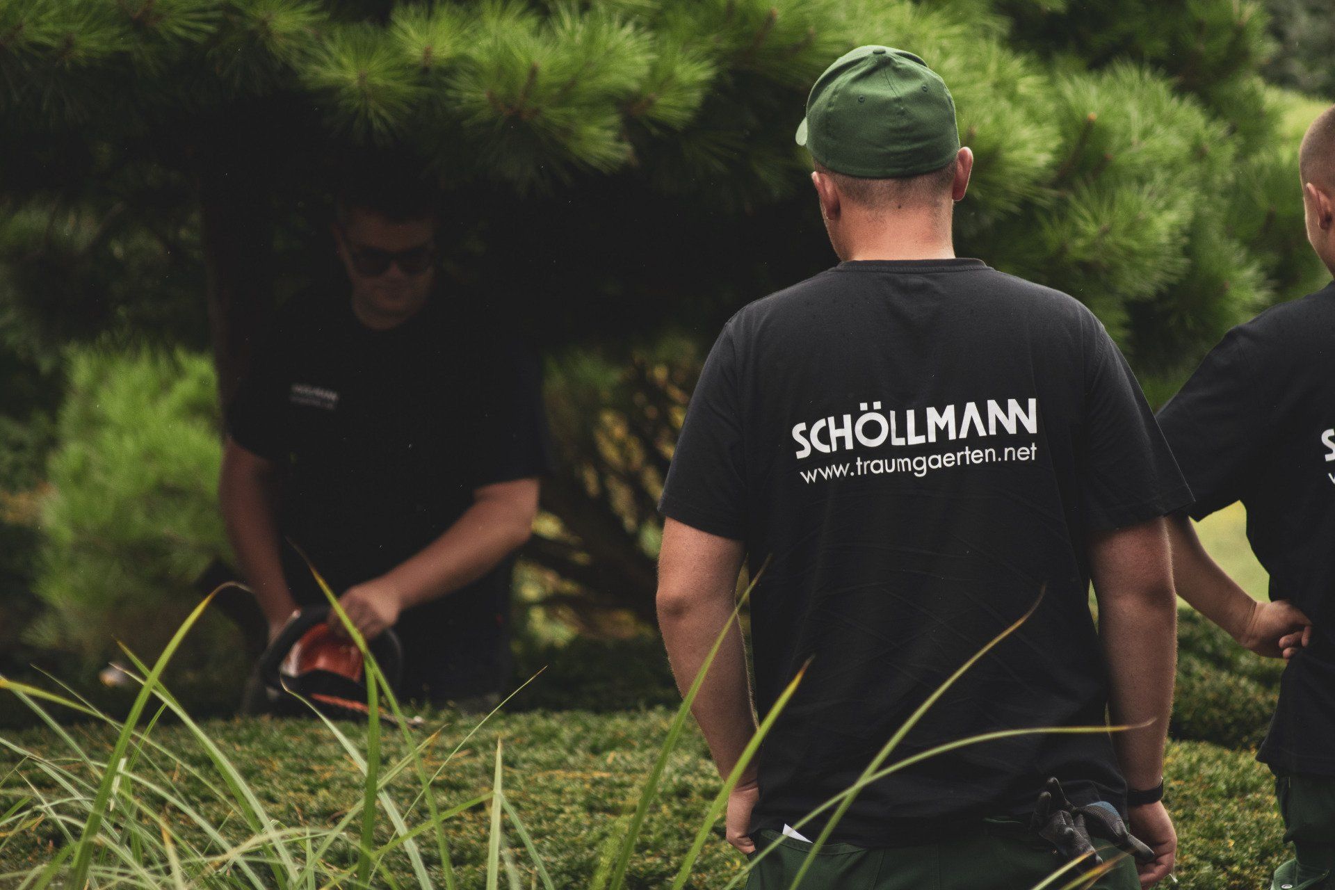 Gartenpflege: Heckenschnitt im Garten