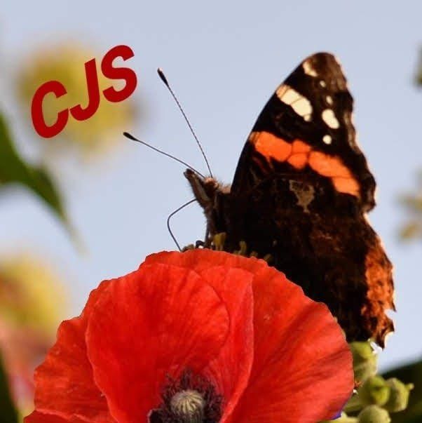 Frei durch Hypnose Hypnose  & Psychotherapie  Christine  Jung-Stanclik