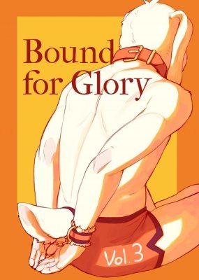 Cover Bound For Glory Vol. 3