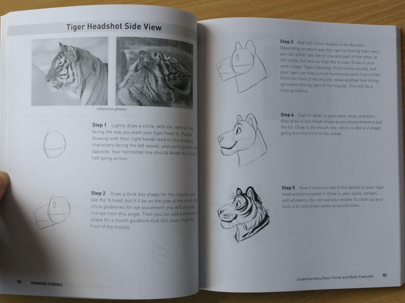 Drawing Furries Sample Pages by Stephanie