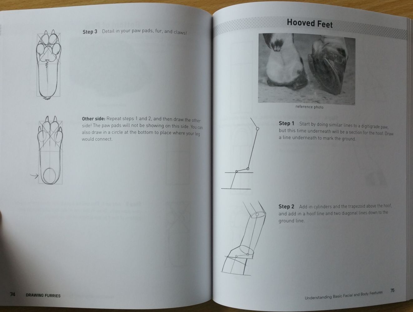 Drawing Furries Sample Pages by Stephanie