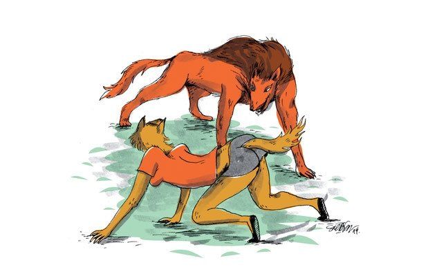 Füchsin und Kröte Beispielseite von Sol Díaz