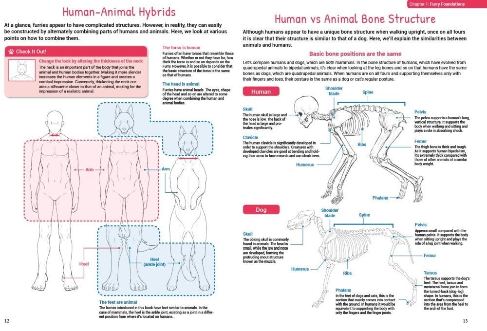 How To Draw Manga Furries Sample Pages