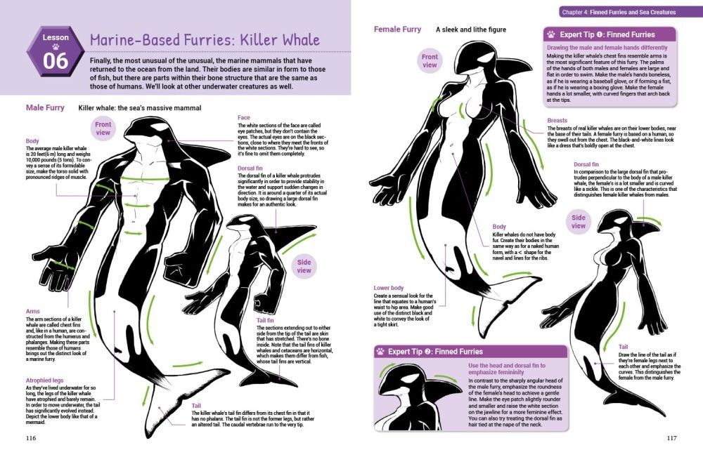 How To Draw Manga Furries Sample Pages