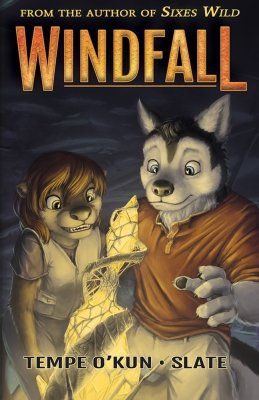 Cover Windfall