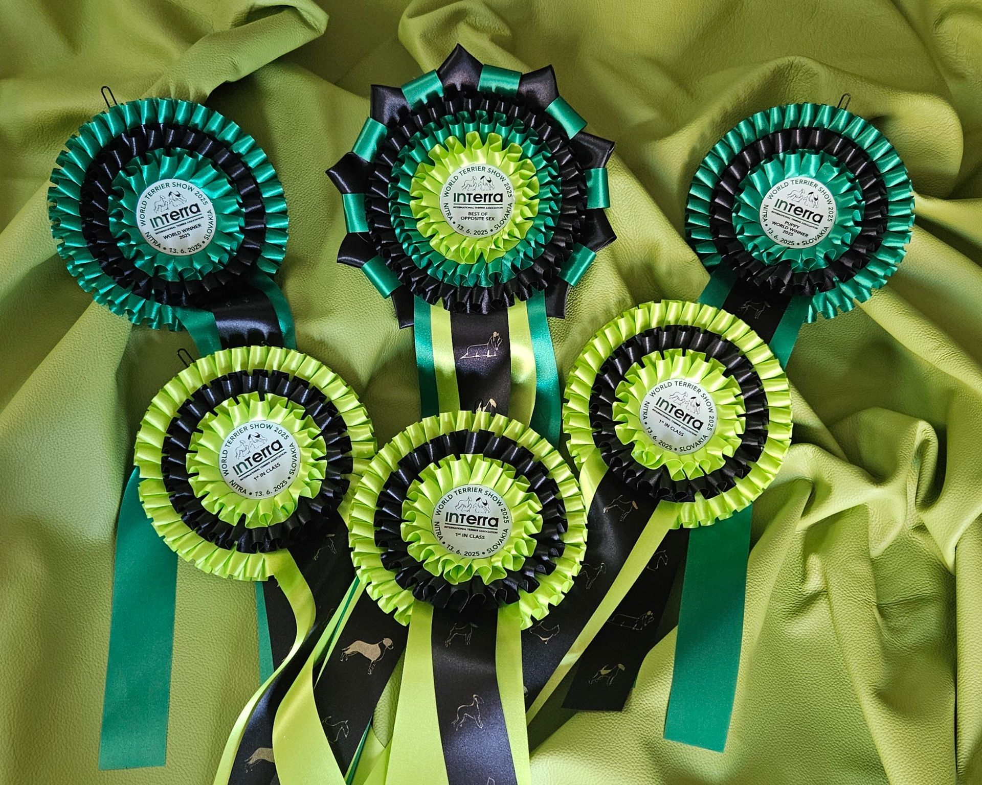 Interra World Dog Show Rosetten für die Parson Russell Terrier Zuchtstätte Of Green Spirits