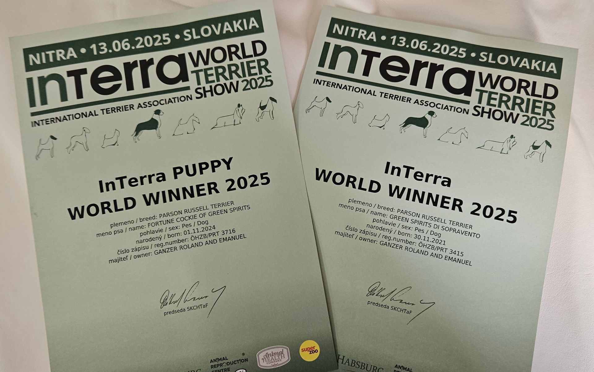 Word Winner und Puppy Word Winner Urkunden für die Zuchtstätte Of Green Spirits von der Interra World Dog Show 2025