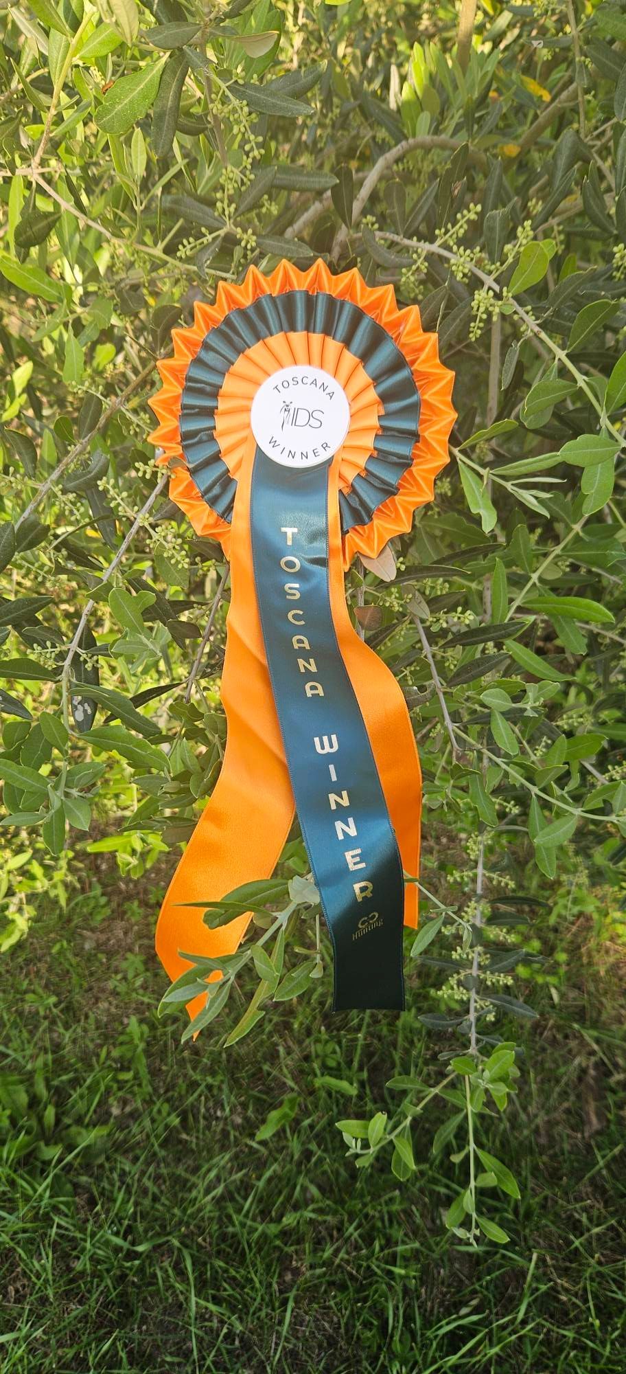 Parson Russell Terrier Hündin Evangeline Of Green Spirits wurde der Toscana Winner 2025 und ist somit die erfolgreichste Parson Russell Terrier Hündin in Österreich 2025