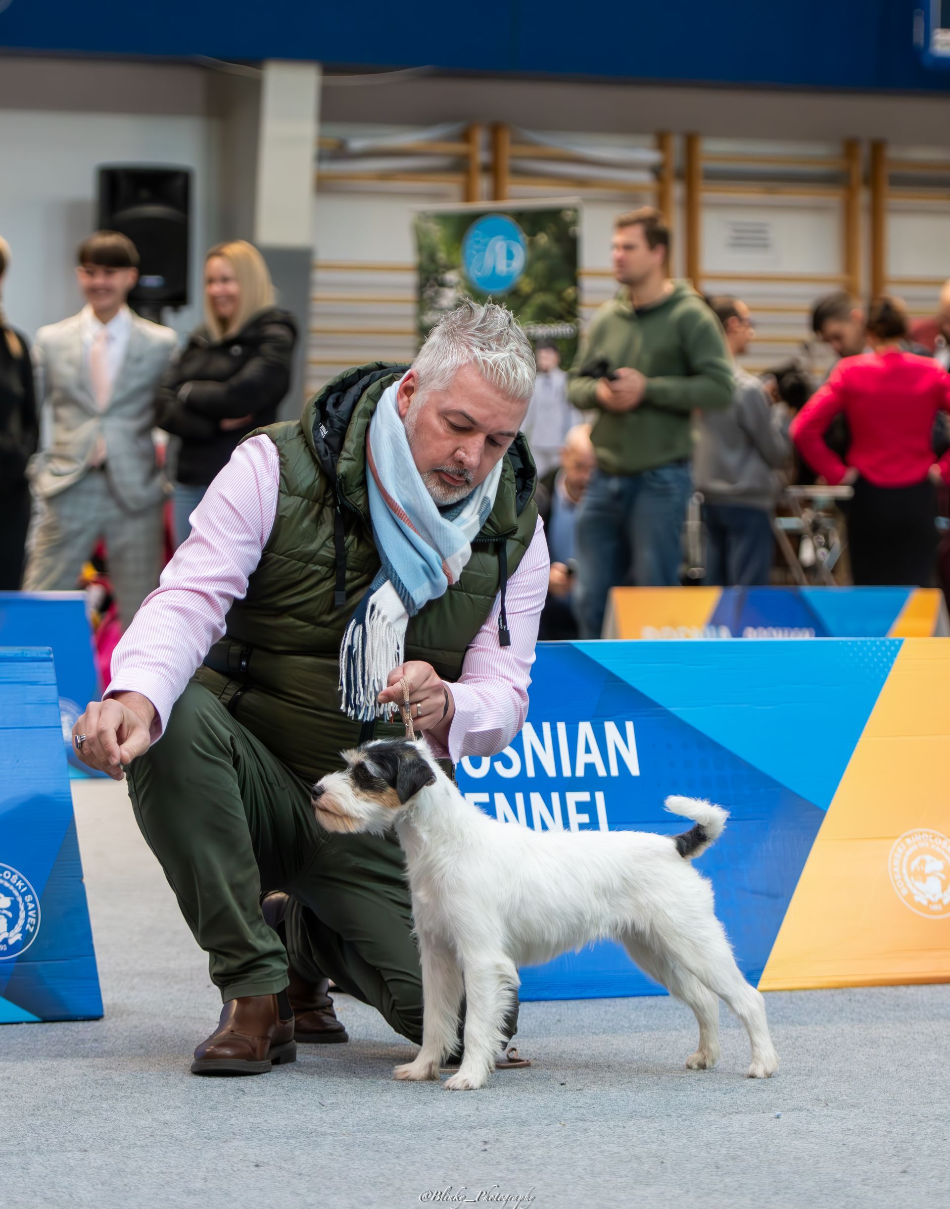 Evangeline of Green Spirits, Sarajevo Winter Winner