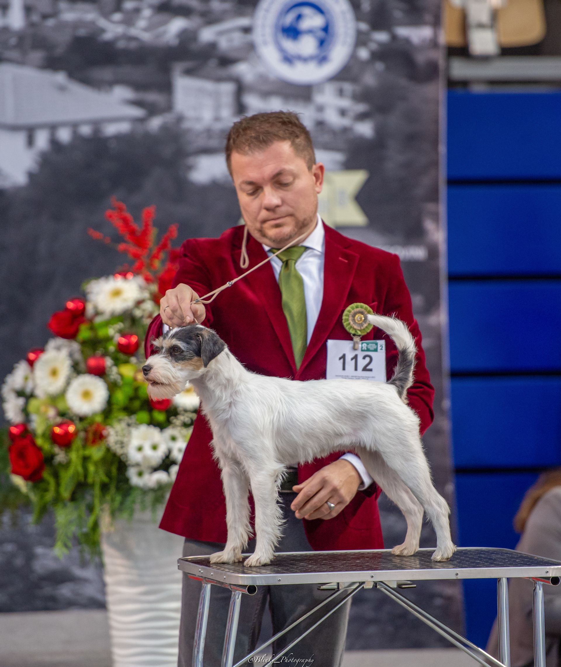 Evangeline of Green Spirits, Sarajevo Winter Winner Show 2025