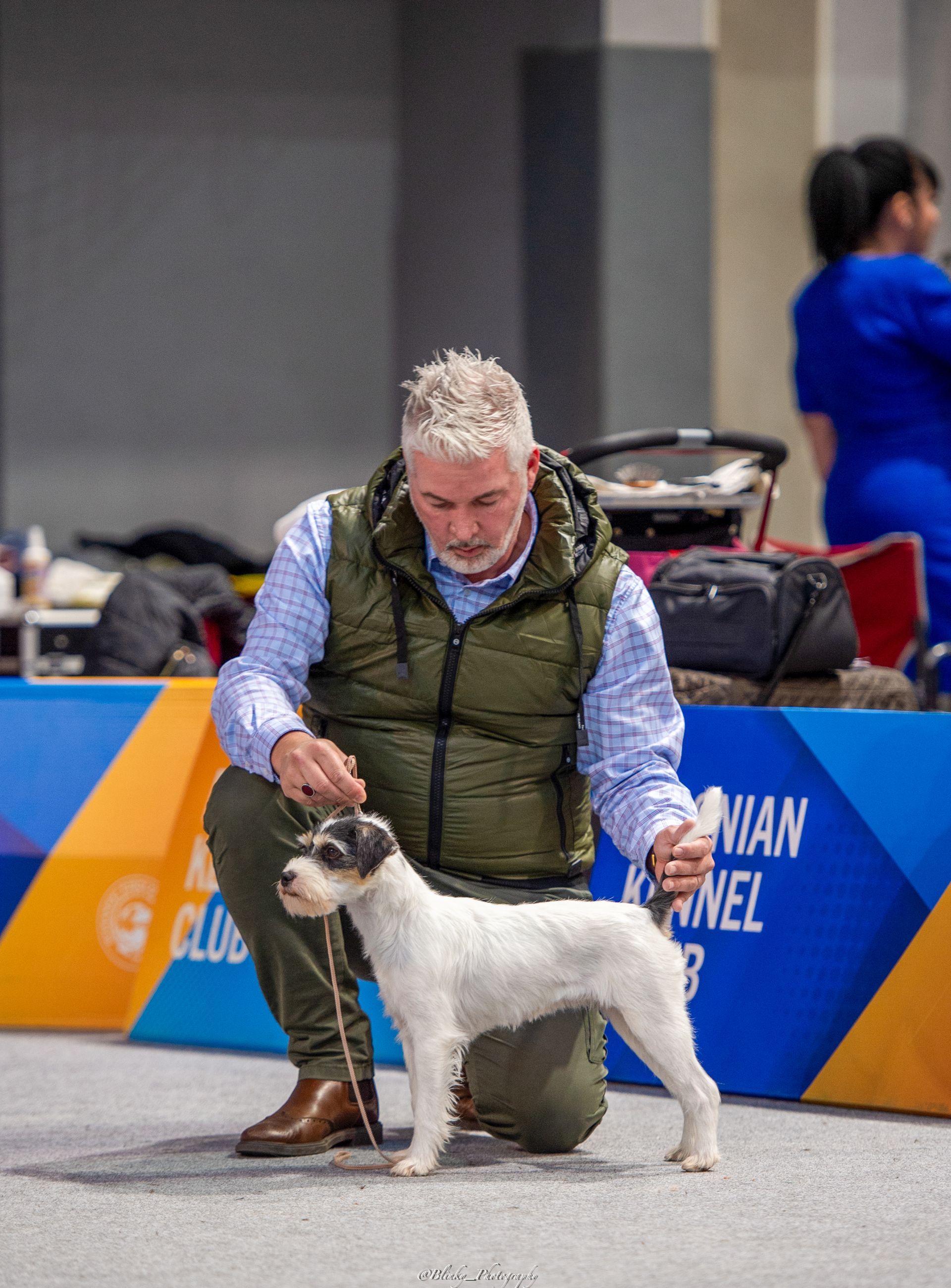 Evangeline of Green Spirits Sarajevo Winter Show 2025