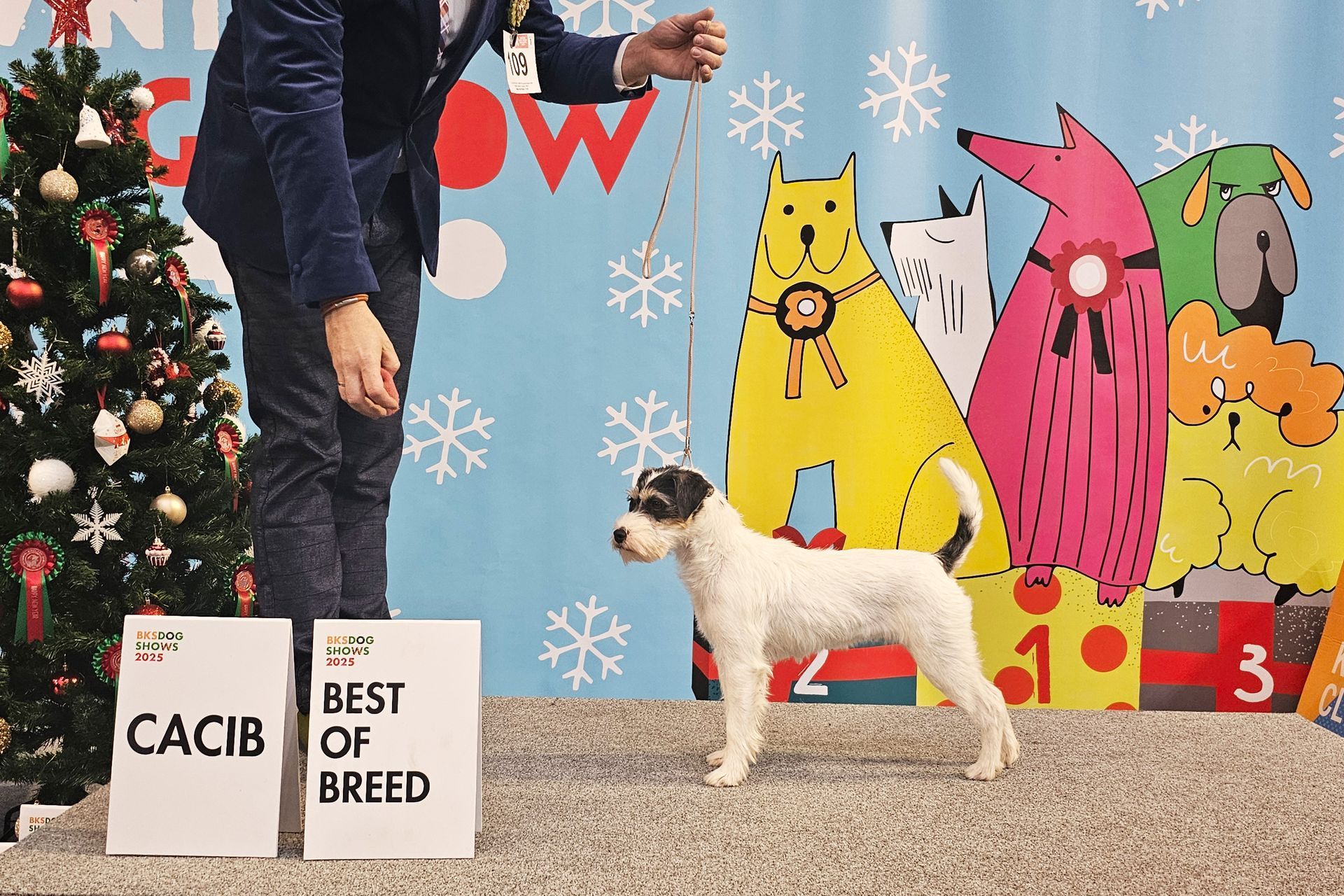 Evangeline of Green Spirits, Sarajevo Winter winner 2025, BOB