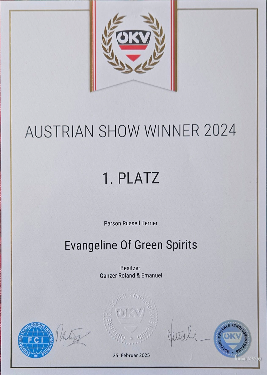 Austrian Show Winner, 2024 Parson Russell Terrier Austrian Show Winner 2024, Evangeline of Green Spirits